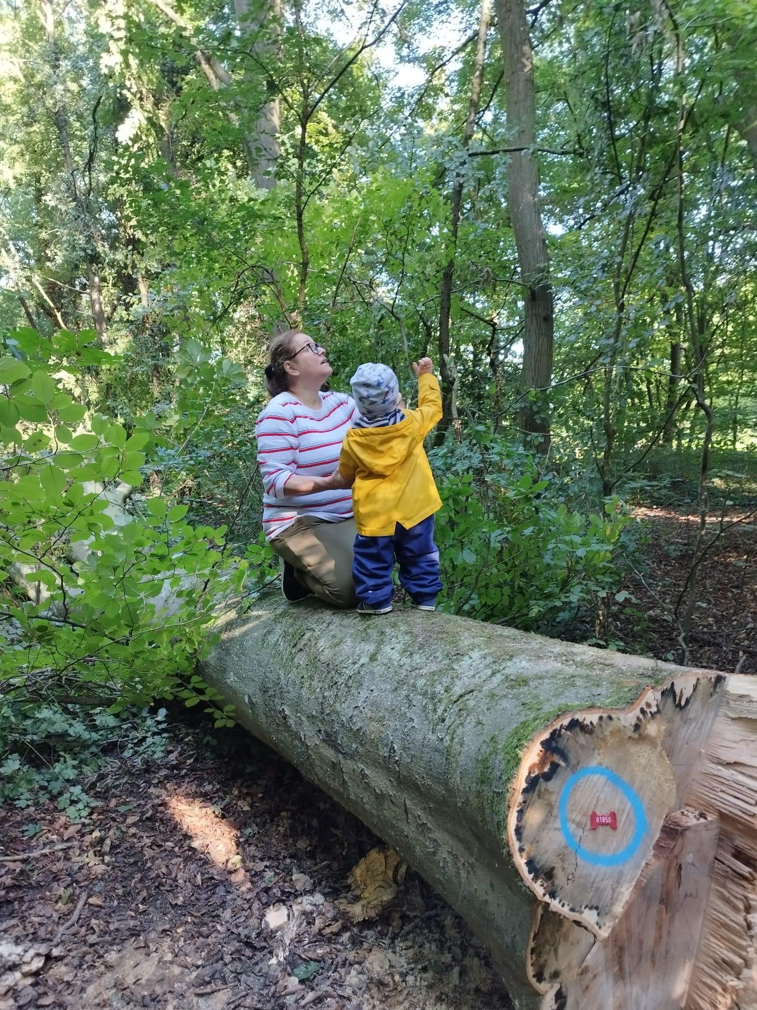 Spaziergang im Wald